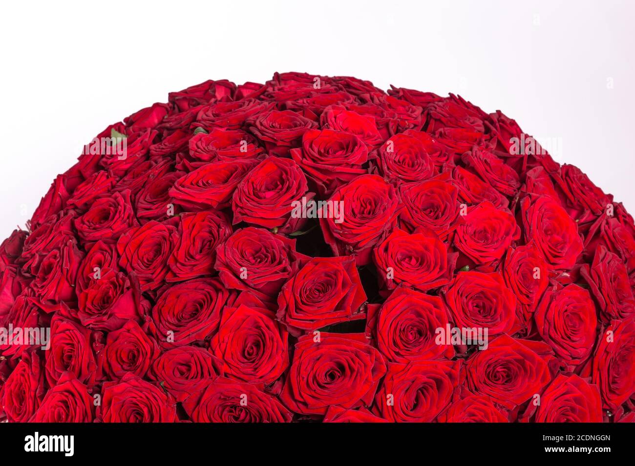 Deep Love Fresh Red Roses Box - Florist in KL