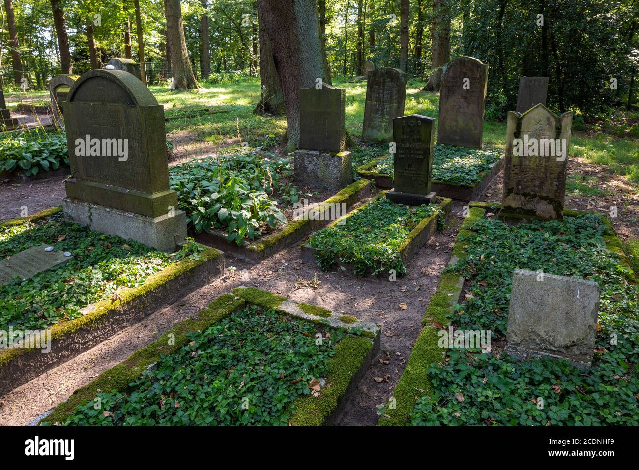 D-Dorsten, D-Dorsten-Feldmark, Lippe, Ruhr area, Hohe Mark Westmuensterland Nature Park, Muensterland, Westphalia, North Rhine-Westphalia, NRW, Jewish cemetery in the Hasselbecke Nature Reserve, also named Judenbusch, graves, tombstones Stock Photo