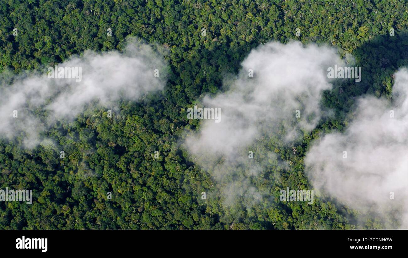 Three white clouds over the impenetrable Amazon jungle Stock Photo
