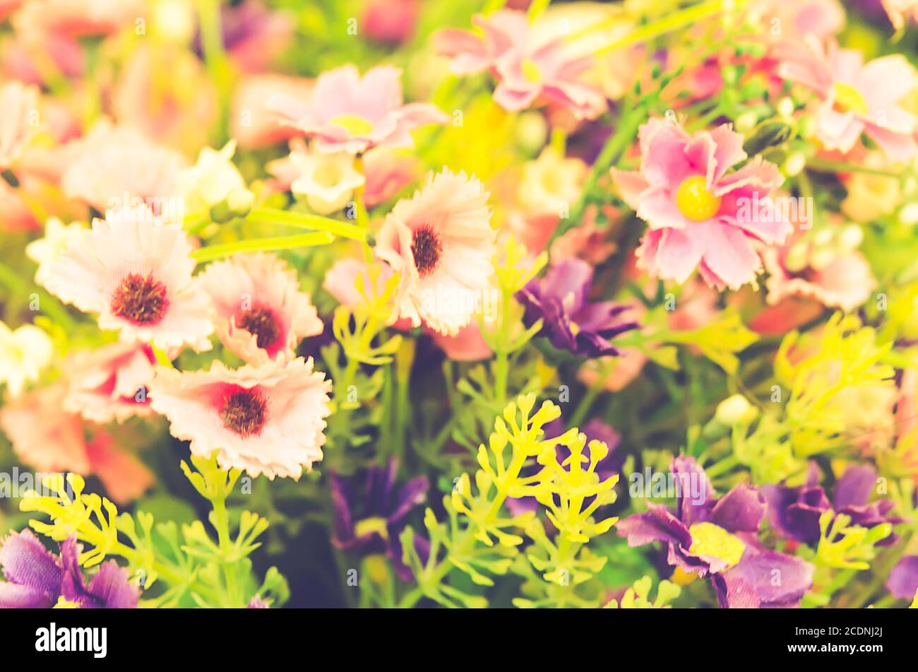 Vintage soft pink flowers wallpaper hi-res stock photography and images ...