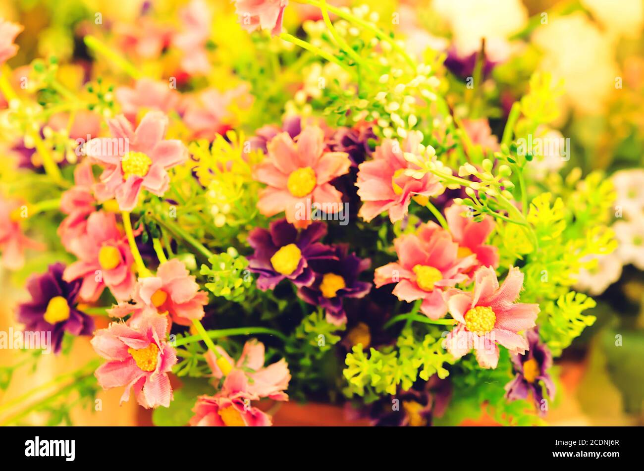 Vintage soft pink flowers wallpaper hi-res stock photography and images ...