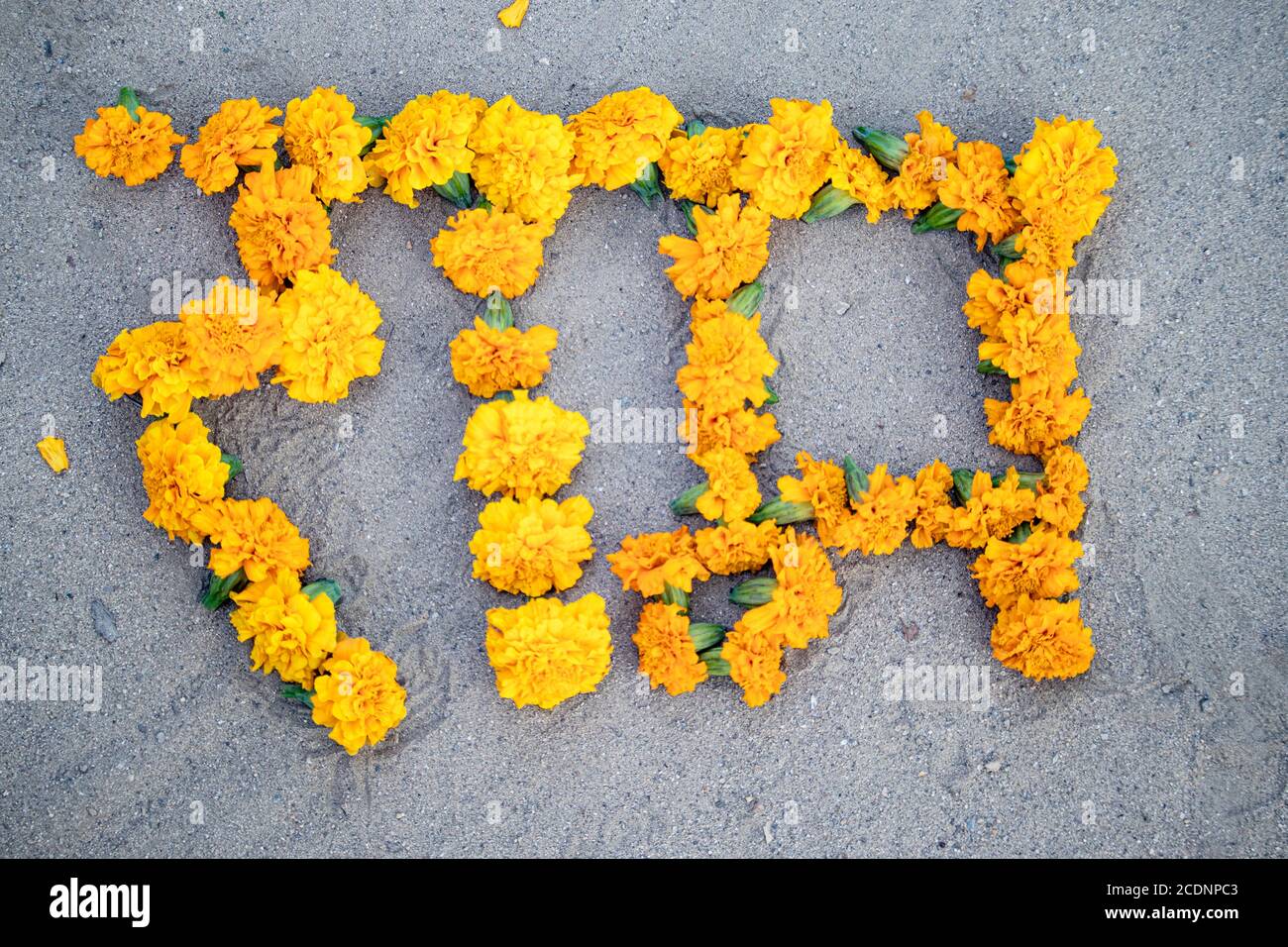Hindi alphabet letter of Hindu holy ram written with yellow ...