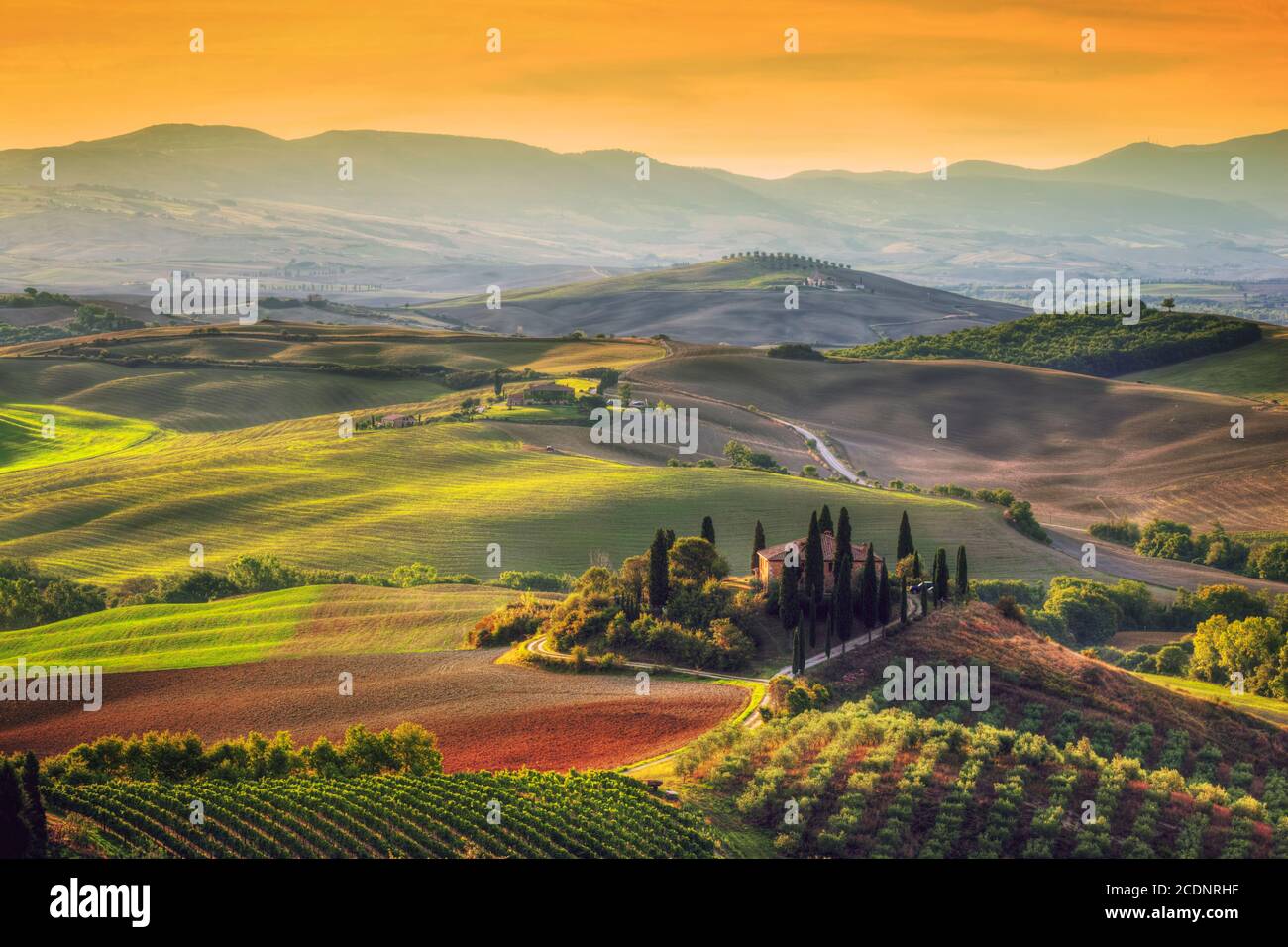 Tuscany landscape at sunrise. Tuscan farm house, vineyard, hills. Stock Photo