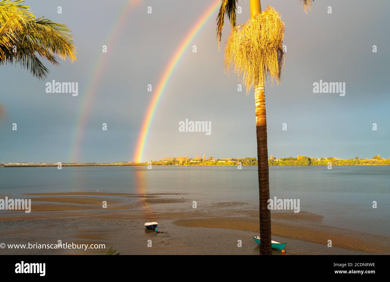 Rainbow falls to horizon then reflects across bay to dinghy sitting on beach late sun illuminates palm teer with hanging seeds and distant land. Stock Photo