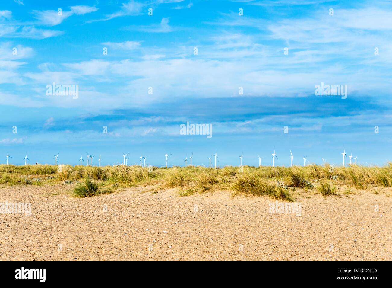 Great Yarmouth beach sand dunes and Marram grass with wind turbine farm in background Stock Photo