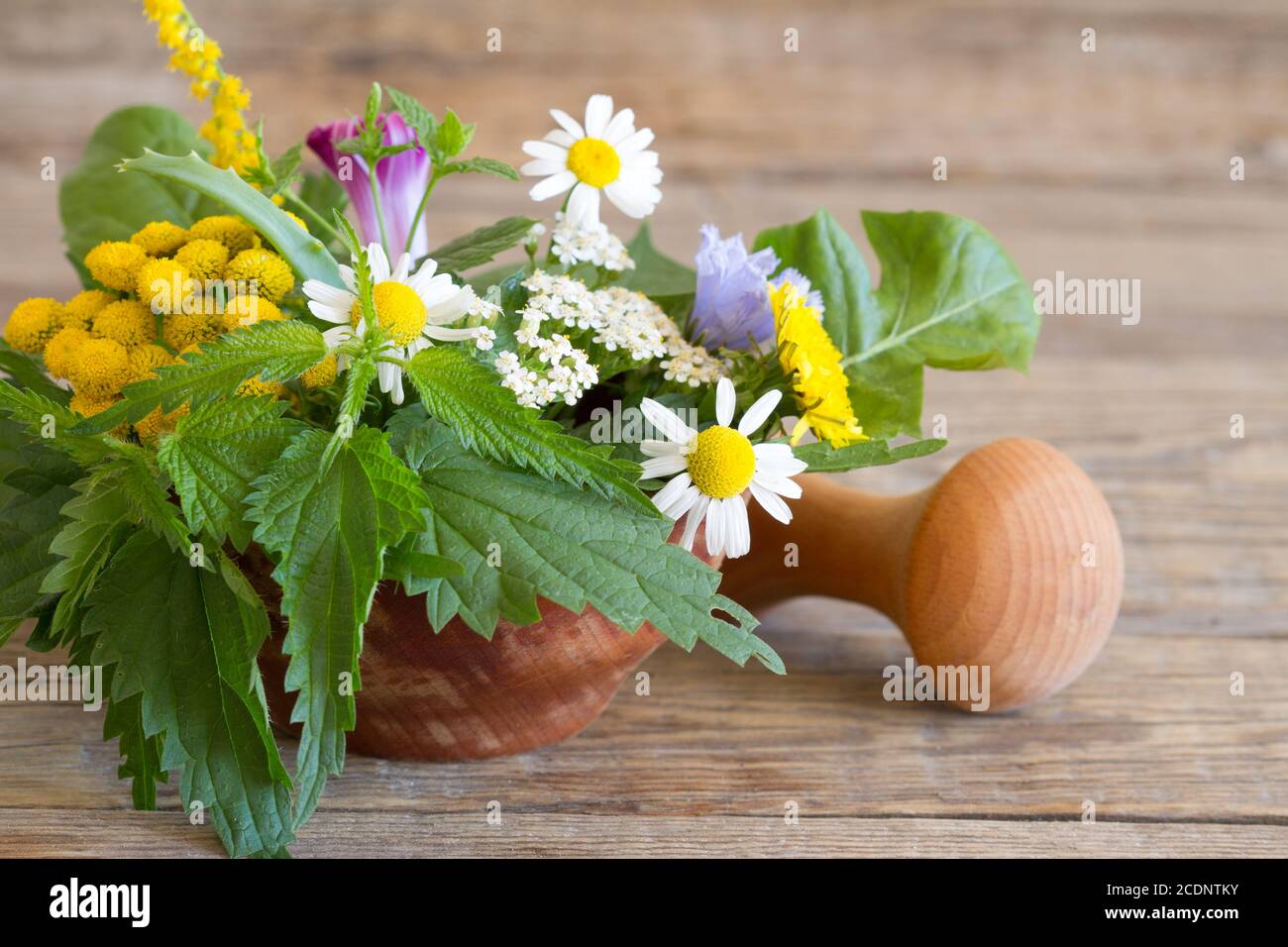 Fresh herbs in the mortar Stock Photo
