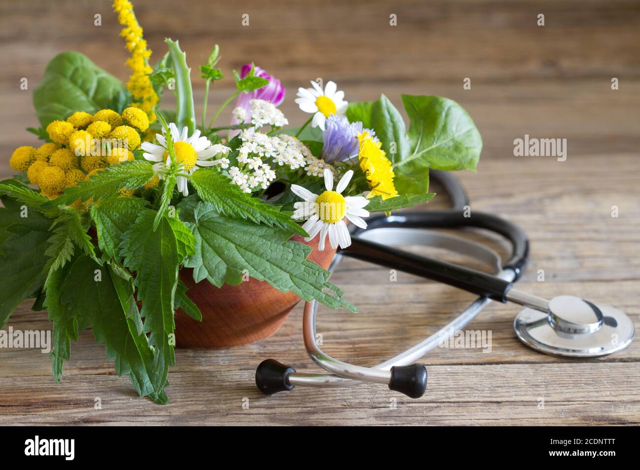 Fresh herbs and stethoscope alternative medicine concept Stock Photo