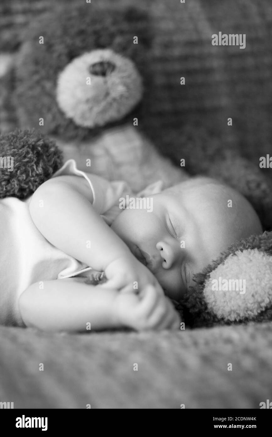 Black and white image of a baby sleeping on the lap of a teddy bear Stock Photo