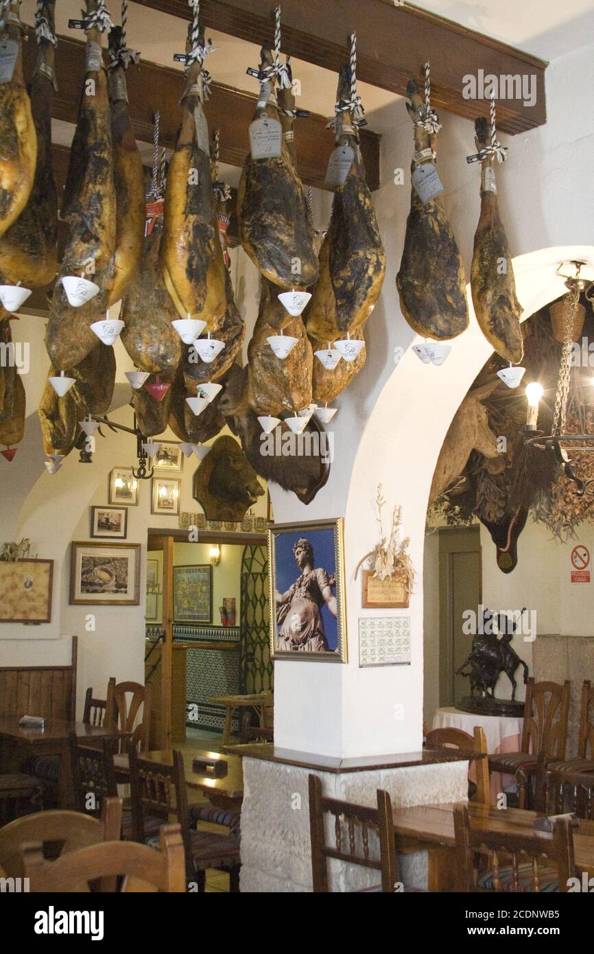 Iberian Ham Stock Photo