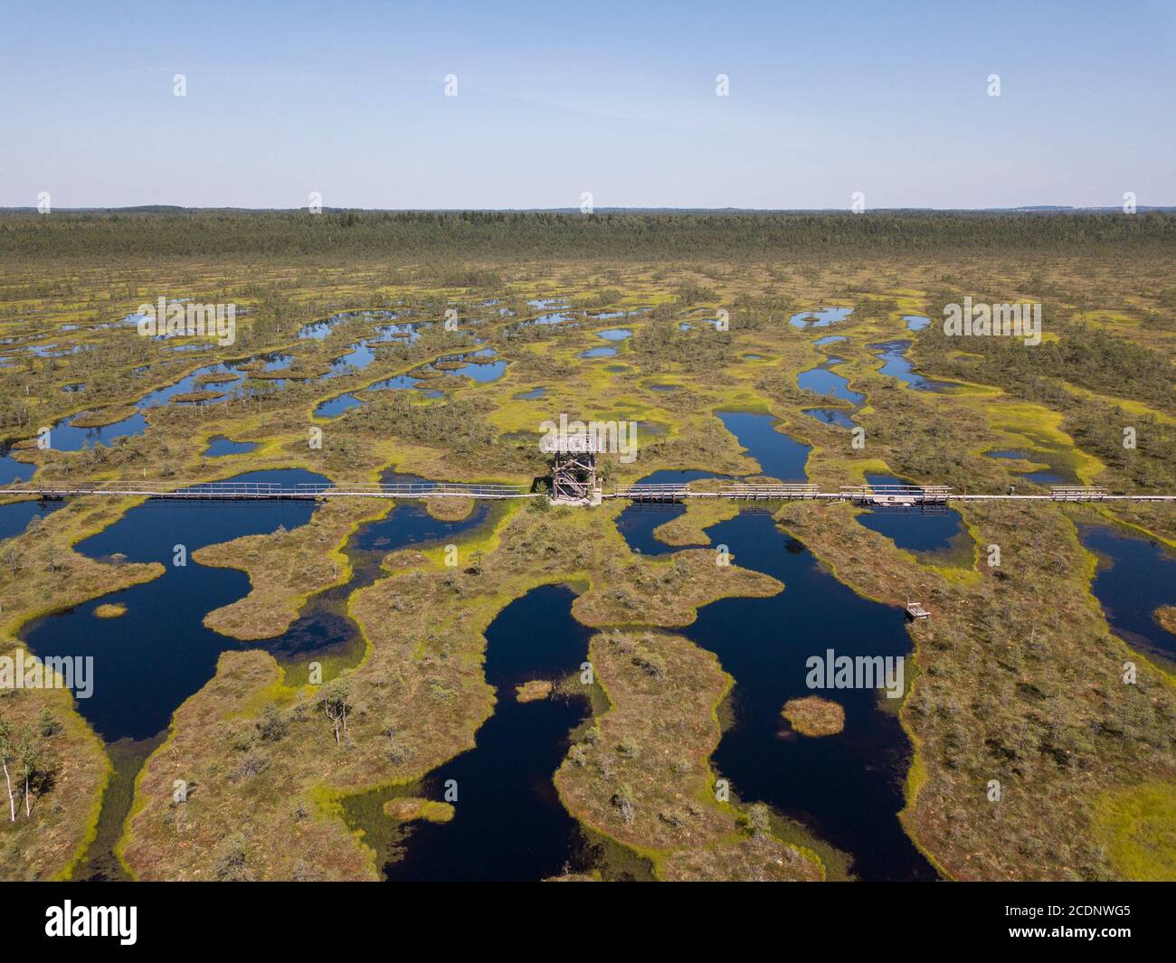 Estonian nature and landscape Stock Photo