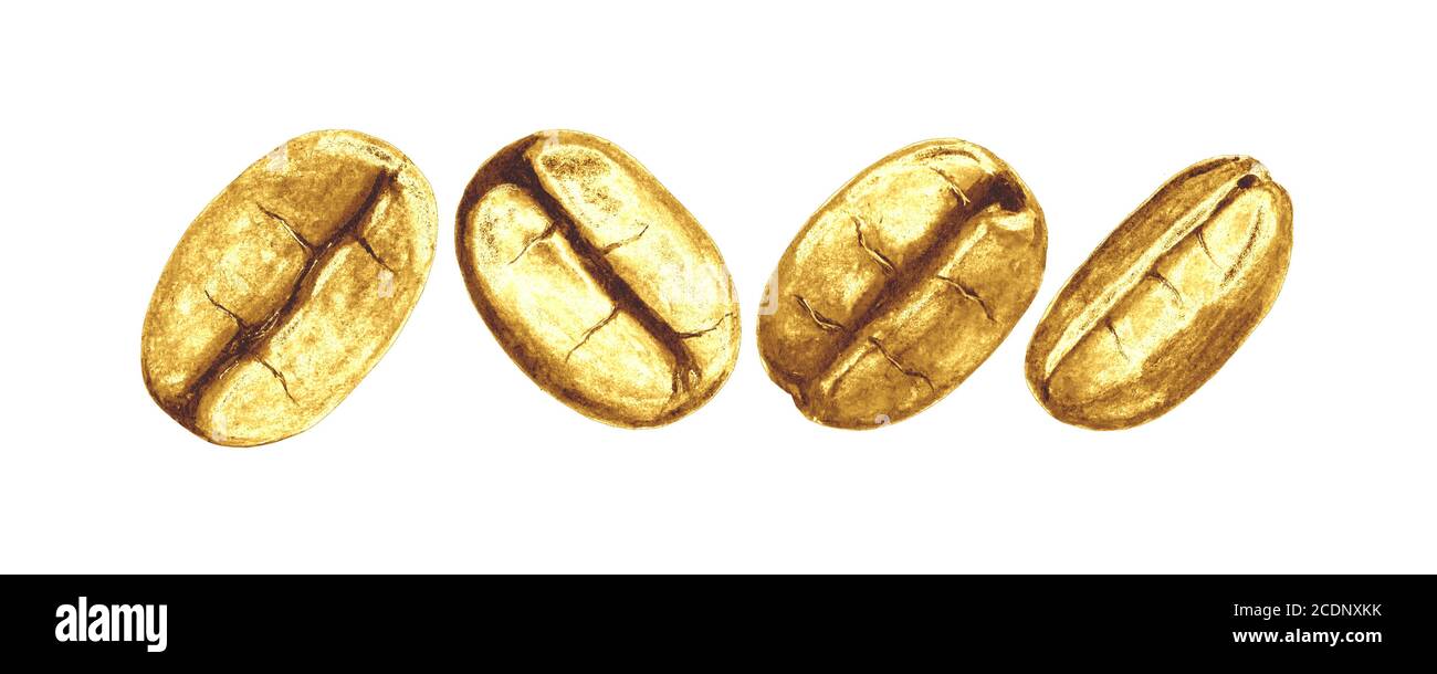 Golden coffee beans set isolated on white background. Hand drawn yellow