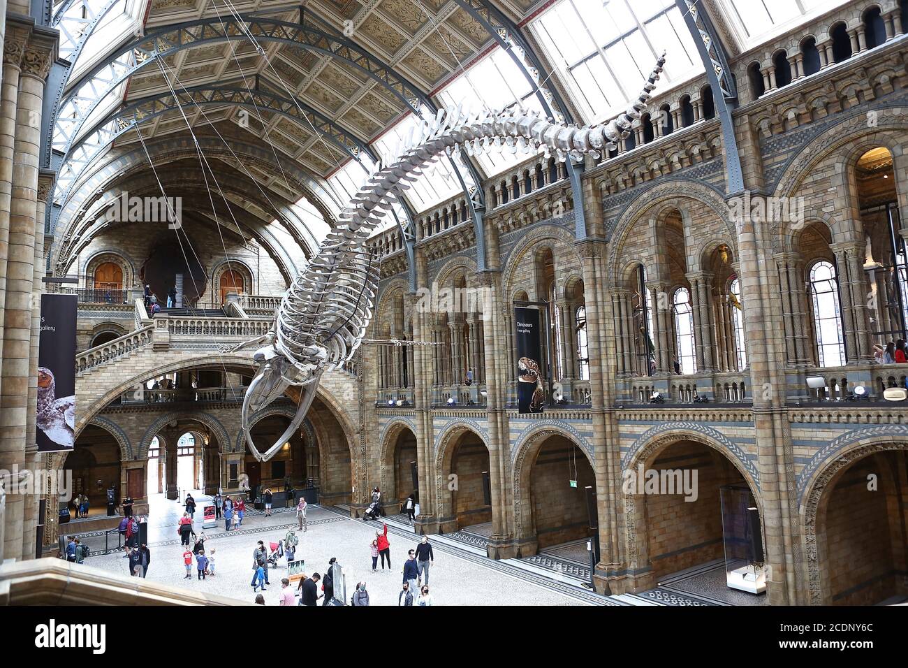 The Natural History Museum in London is a natural history museum that  exhibits a vast range of specimens from various segments of natural  history. It is one of three major museums on