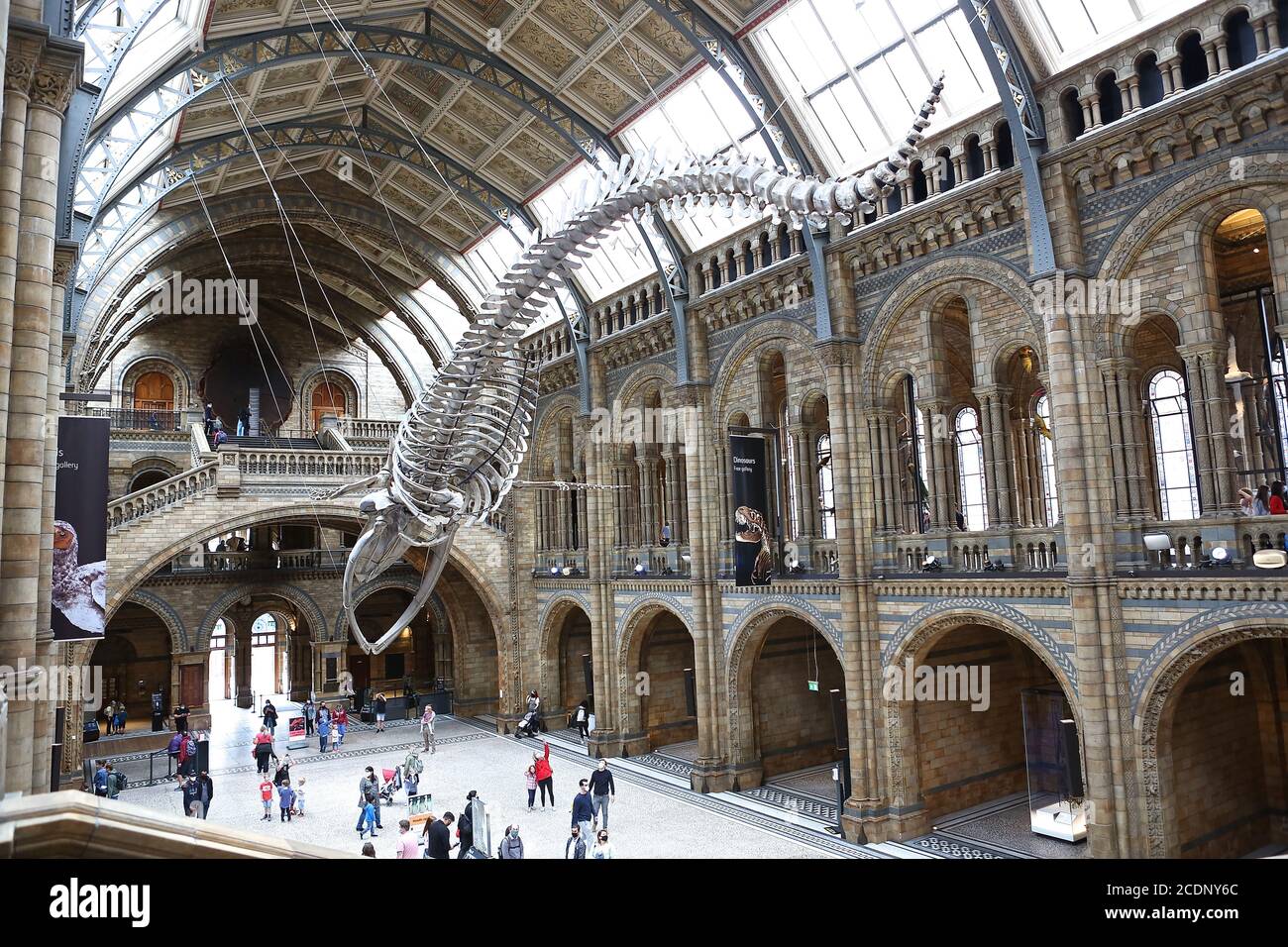 natural history museum london logo Images High Quality... Natural History Museum London Logo