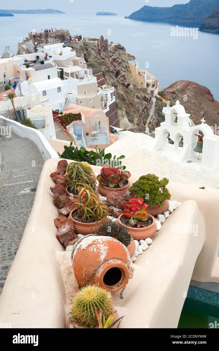 Decorative plants, Santorini Greece Stock Photo - Alamy