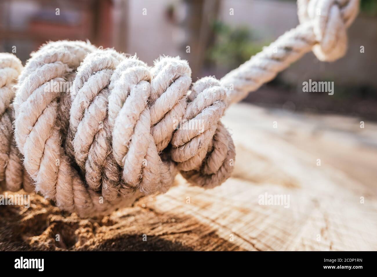 Detail of a complicated rope knot securely tied to a log Stock Photo Alamy