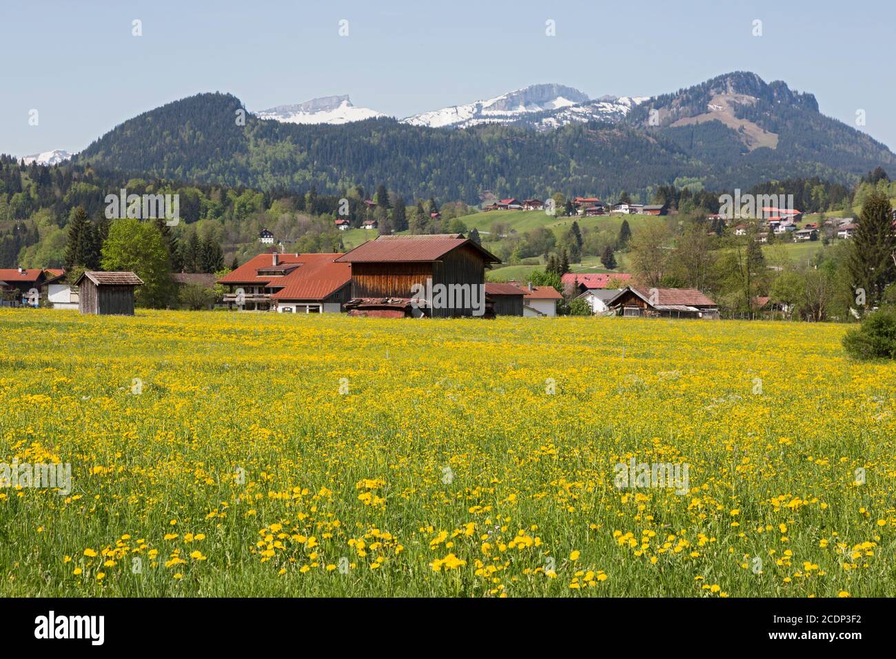 Oberstdorf, Allgäu, Wiesen, Berge, Landschaft, Häuser, Ortschaft Stock Photo