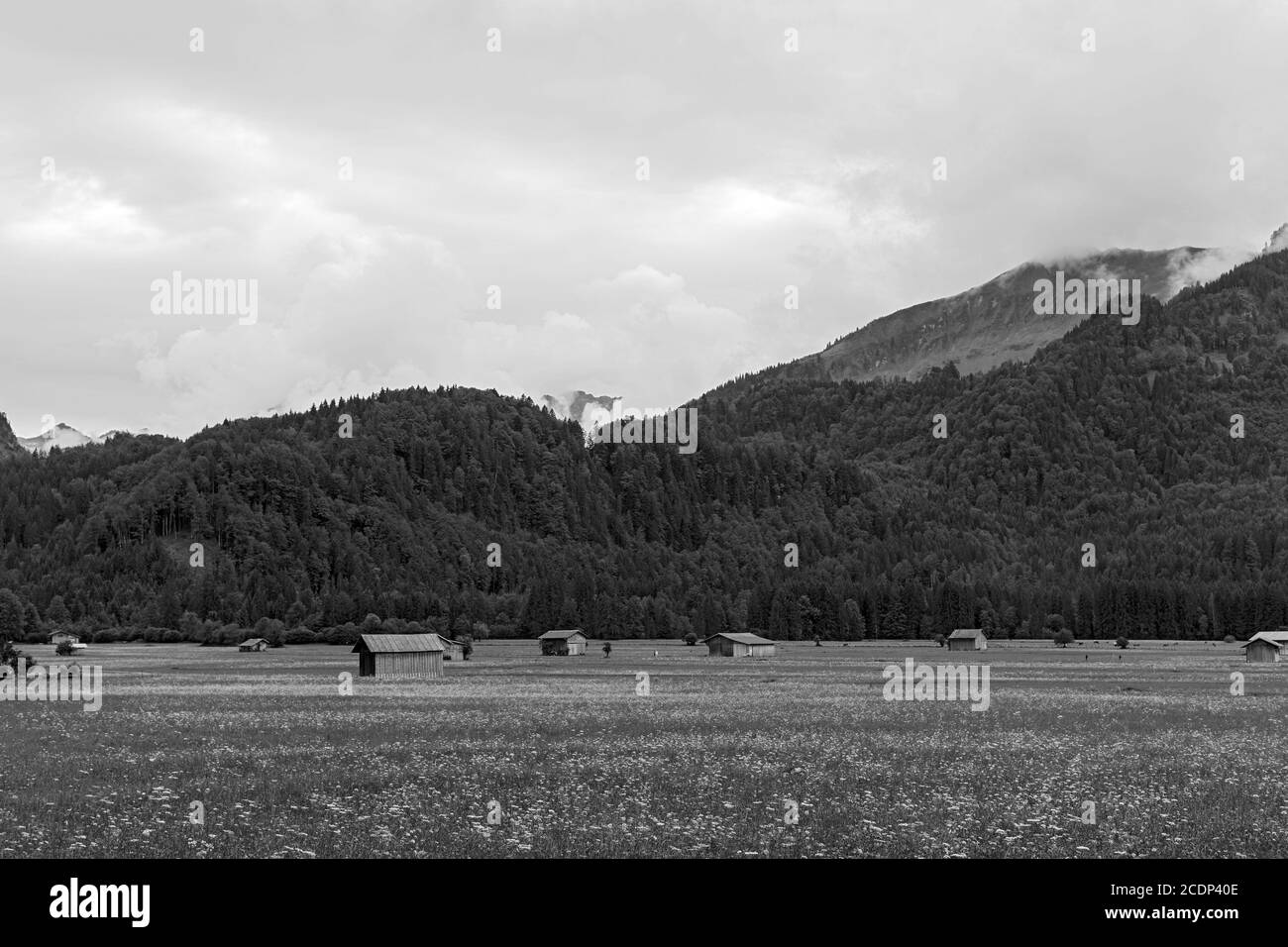 Wiese, Scheunen, Berge, Oberstdorf Stock Photo