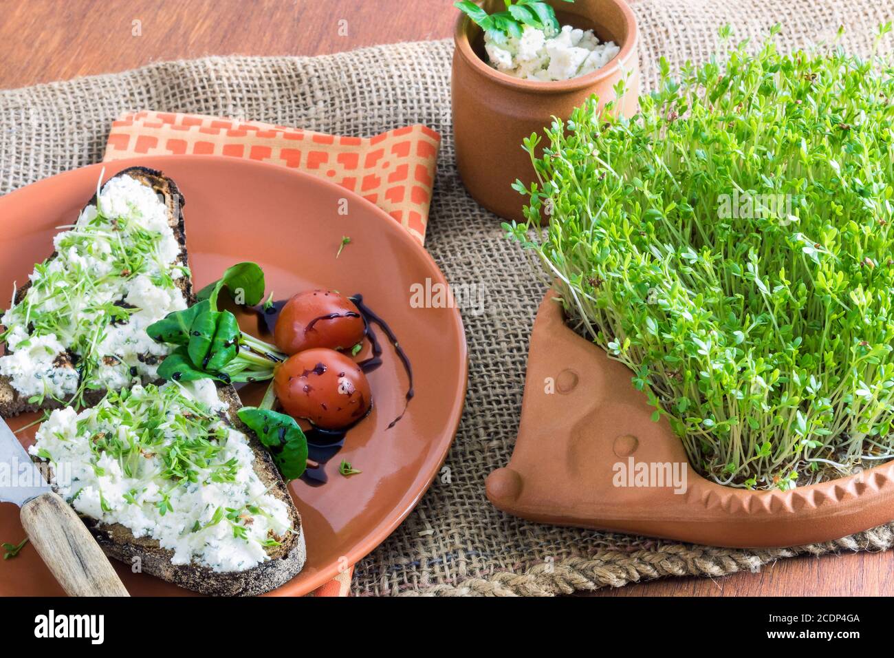 terracotta-hedgehog with home-grown garden cress and plate with brown bread and cream cheese Stock Photo