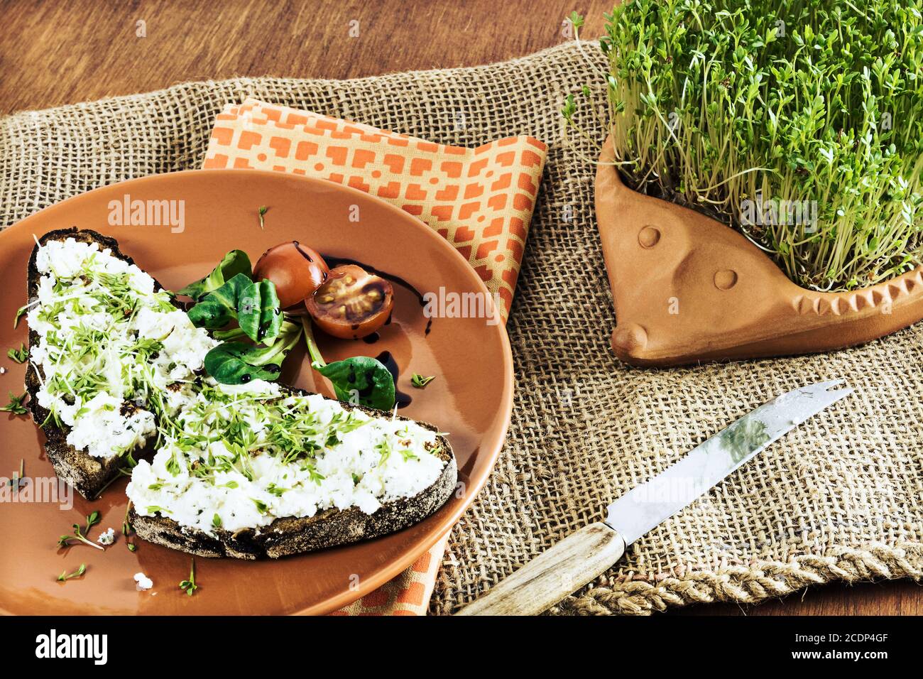 terracotta-hedgehog with home-grown garden cress and plate with brown bread and cream cheese Stock Photo