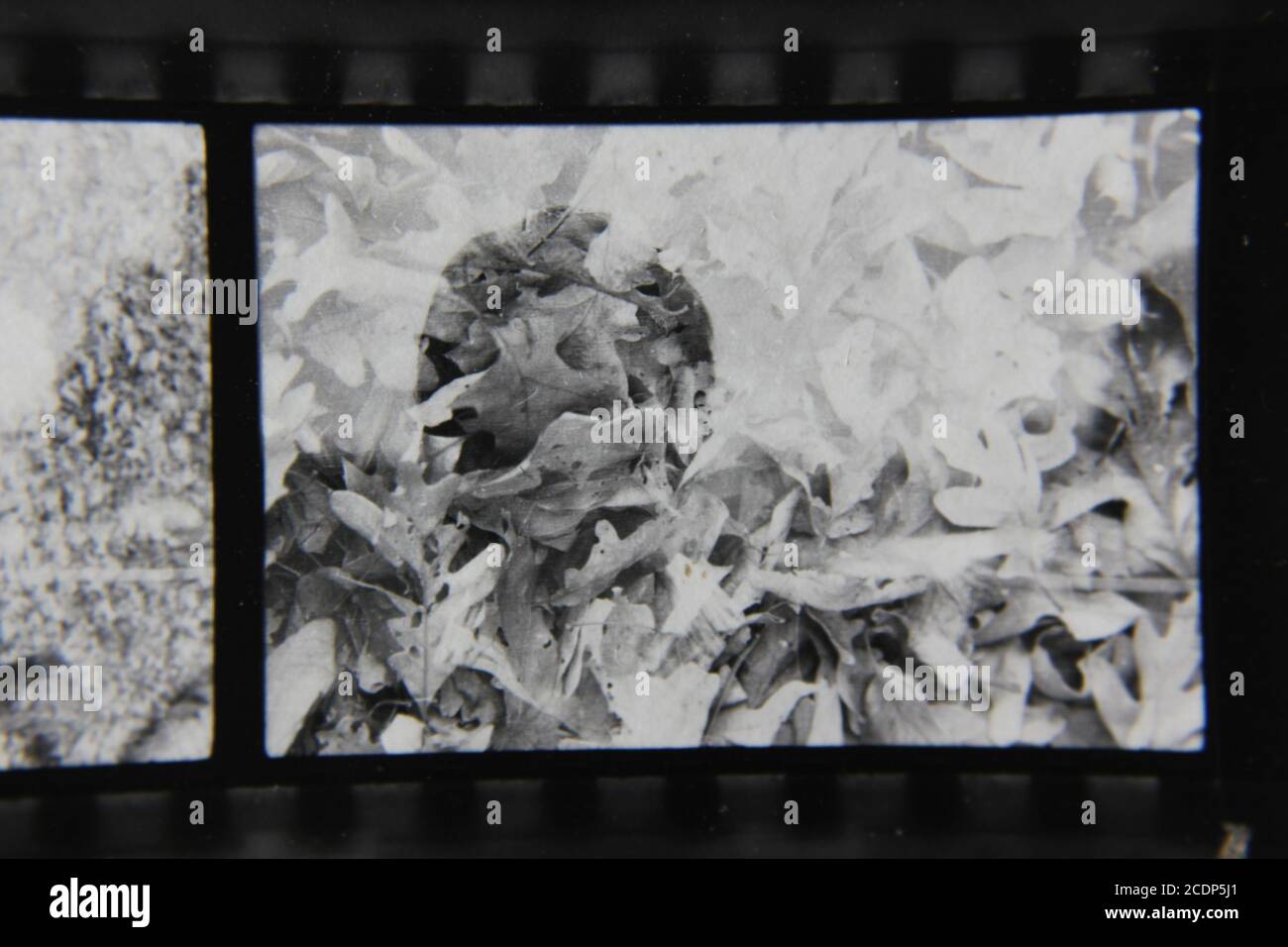 Fine 1970s vintage black and white photography of an overlay of a ...
