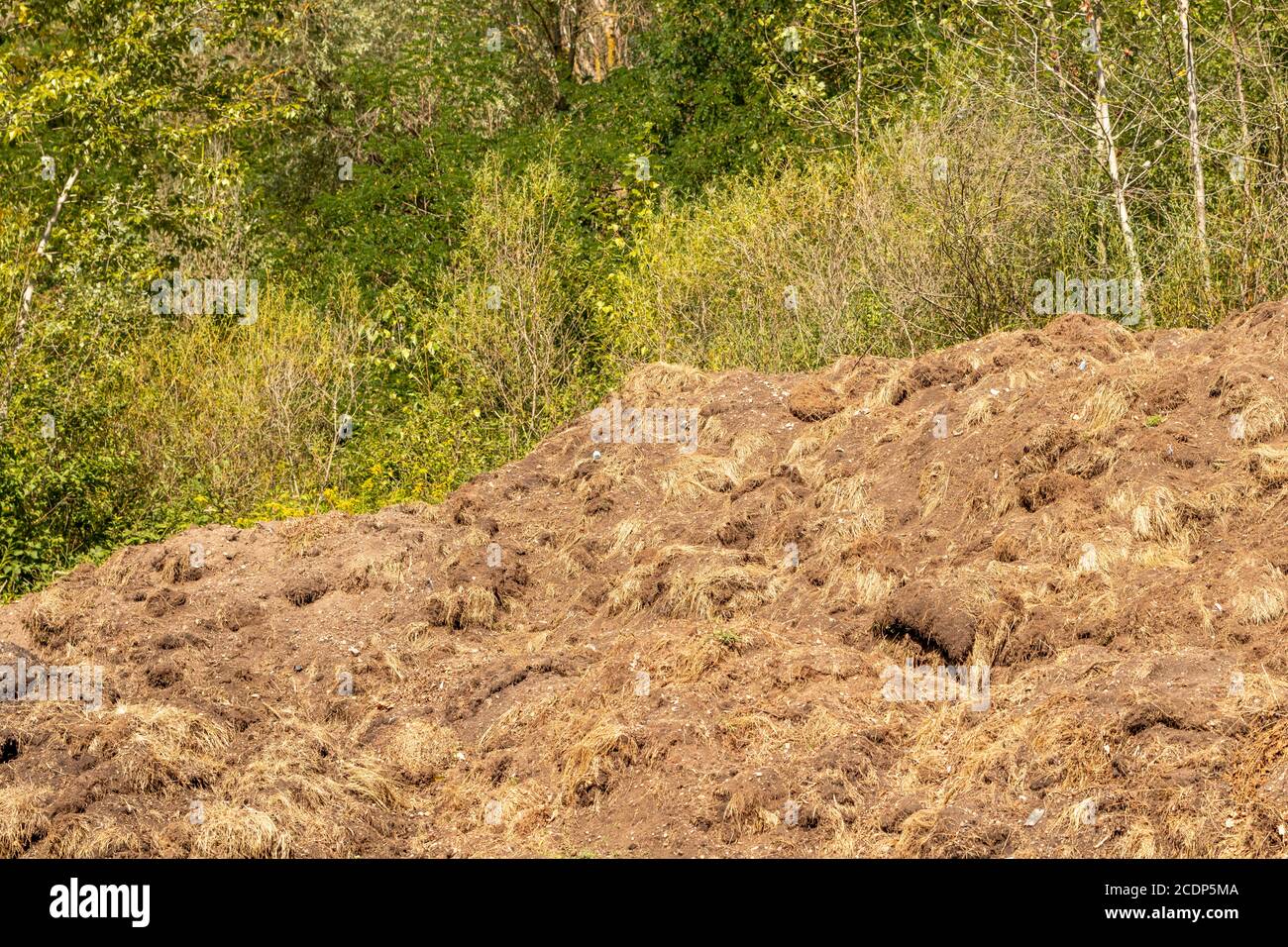 Smelly mist hi-res stock photography and images - Alamy