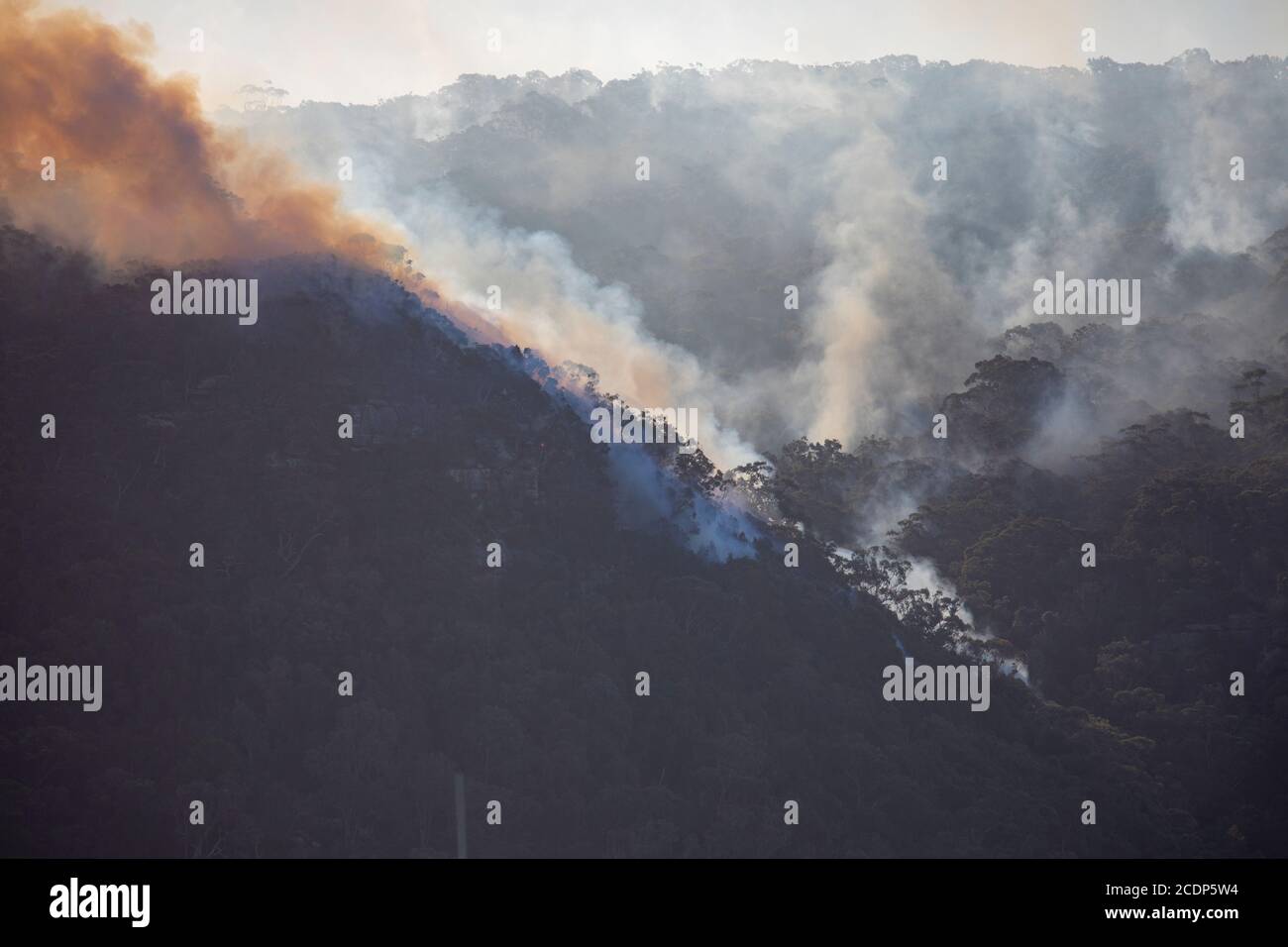 Australia bushfire season and rural fire brigade conduct controlled hazard reduction burning in