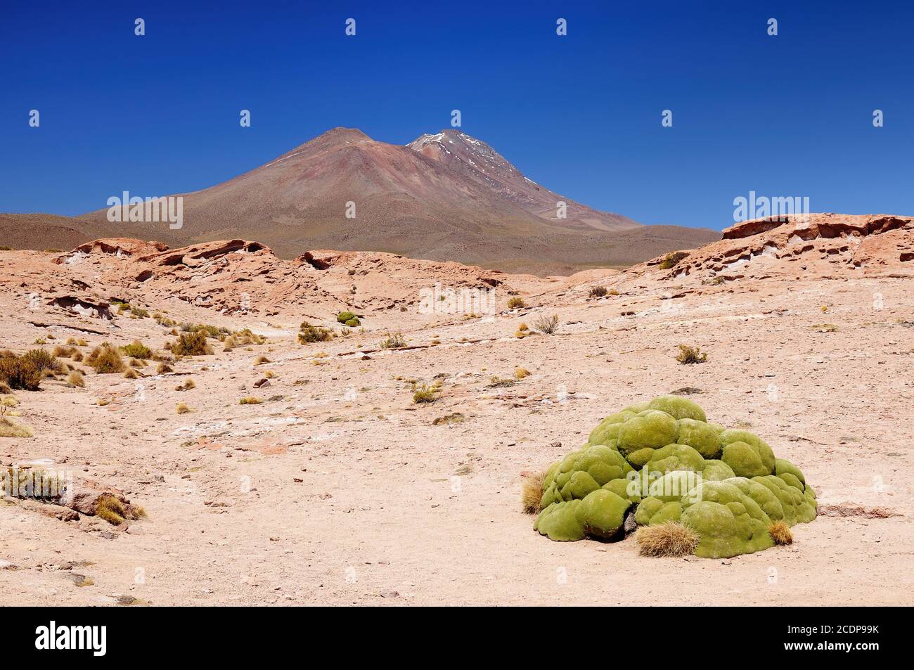 Bolivia - the most beautifull Andes in South America. The surreal landscape is nearly treeless, punctuated by gentle hills and volcanoes near Chilean Stock Photo