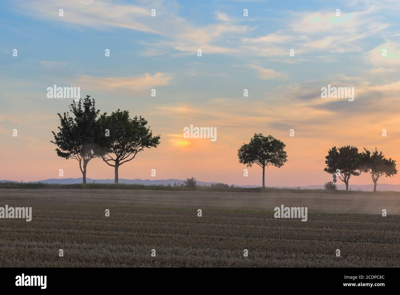 Abendstimmung auf einem Getreidefeld Stock Photo