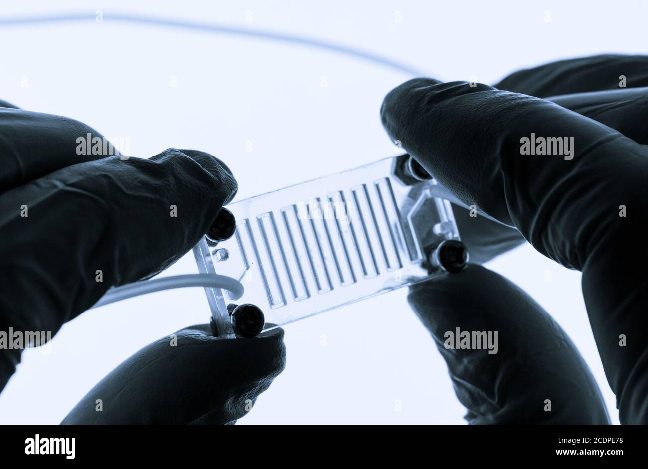 Organ on chip OOC and lab on chip LOC - microfluidic device chip that ...
