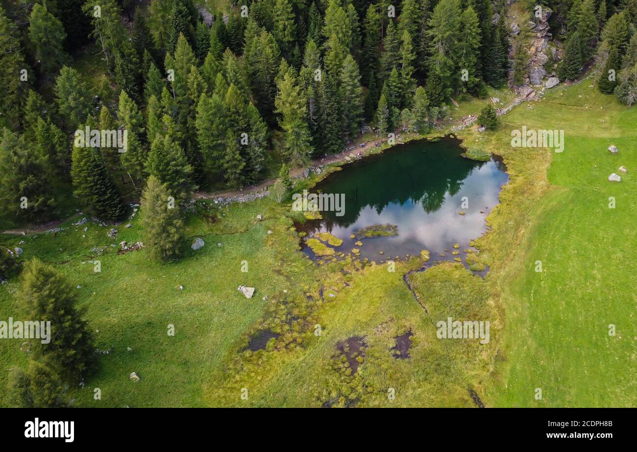 Covel lake in summer. Panoramic view of Covel lake in Pejo Valley,Trentino Alto Adige,northern Italy - Stelvio National Park Stock Photo