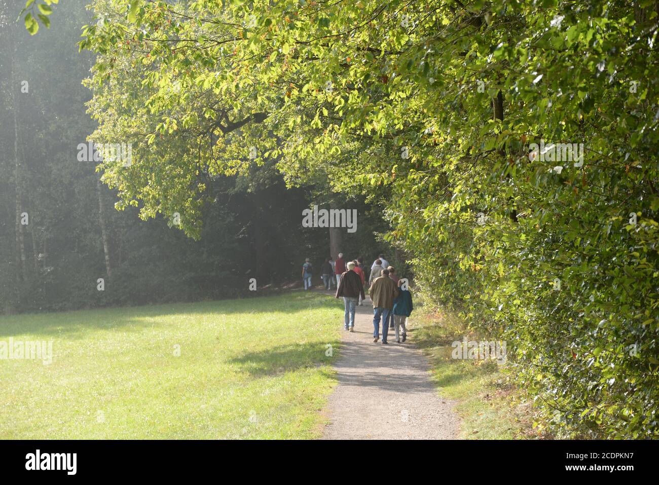 Way at the edge of the forest Stock Photo - Alamy