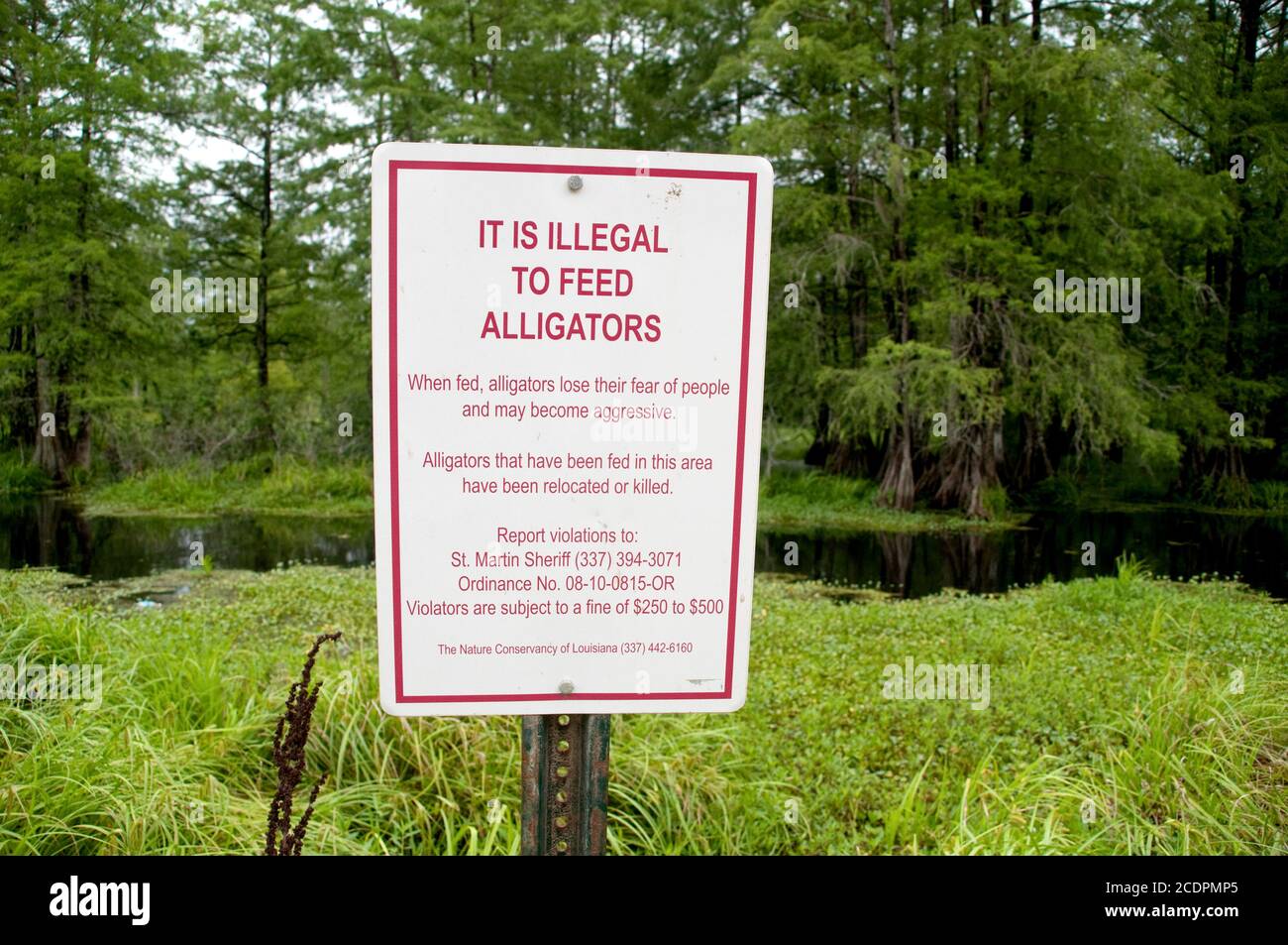 A 'Don't Feed the Alligators' sign in the Cypress Island Preserve, on the western edge of the Atchafalaya swamp, near Lafayette Louisiana. Stock Photo