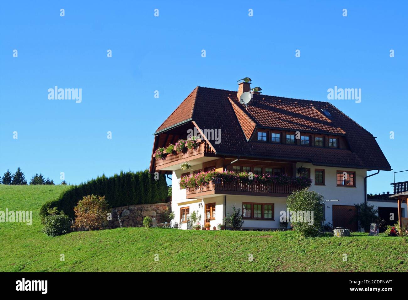 black forest house Stock Photo