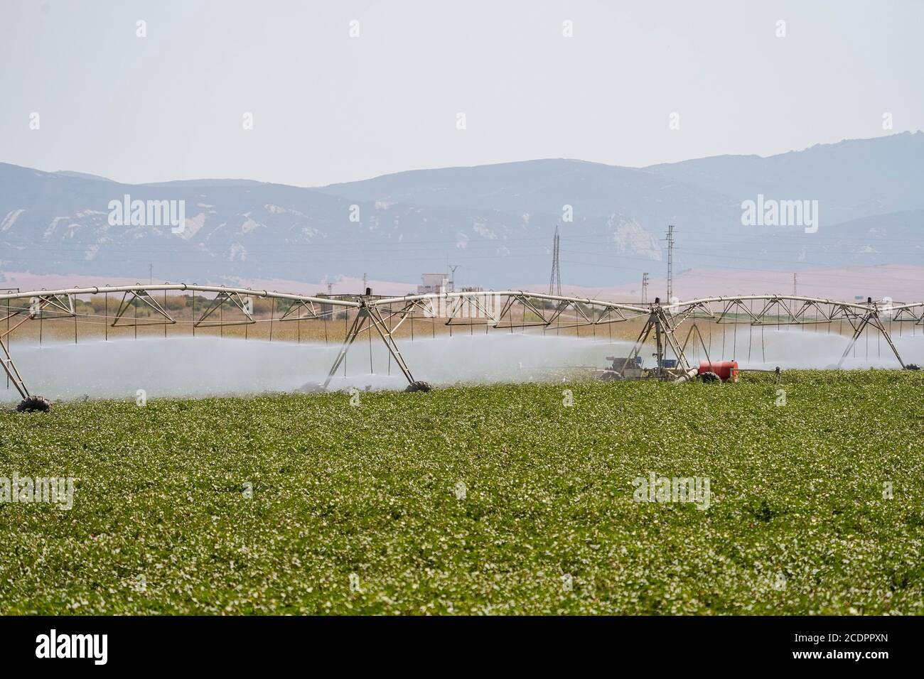 Automated irrigation system, La Janda, Costa de la Luz, Spain. Stock Photo