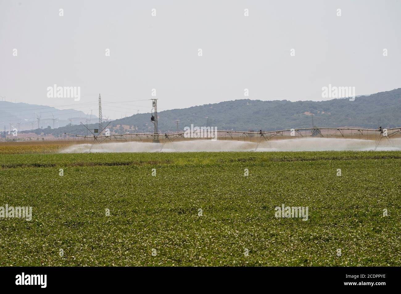 Automated irrigation system, La Janda, Costa de la Luz, Spain. Stock Photo