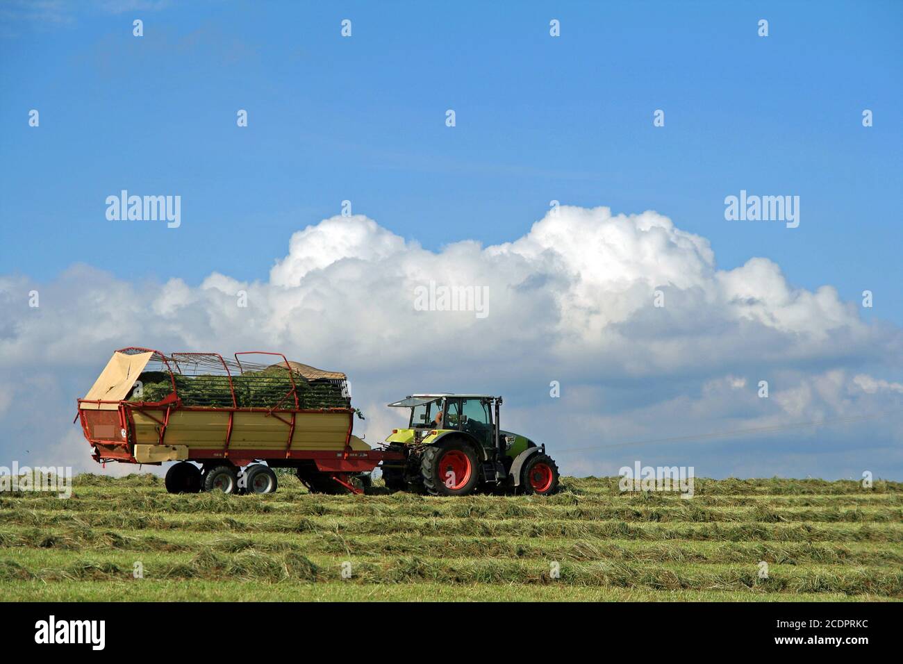 country life Stock Photo
