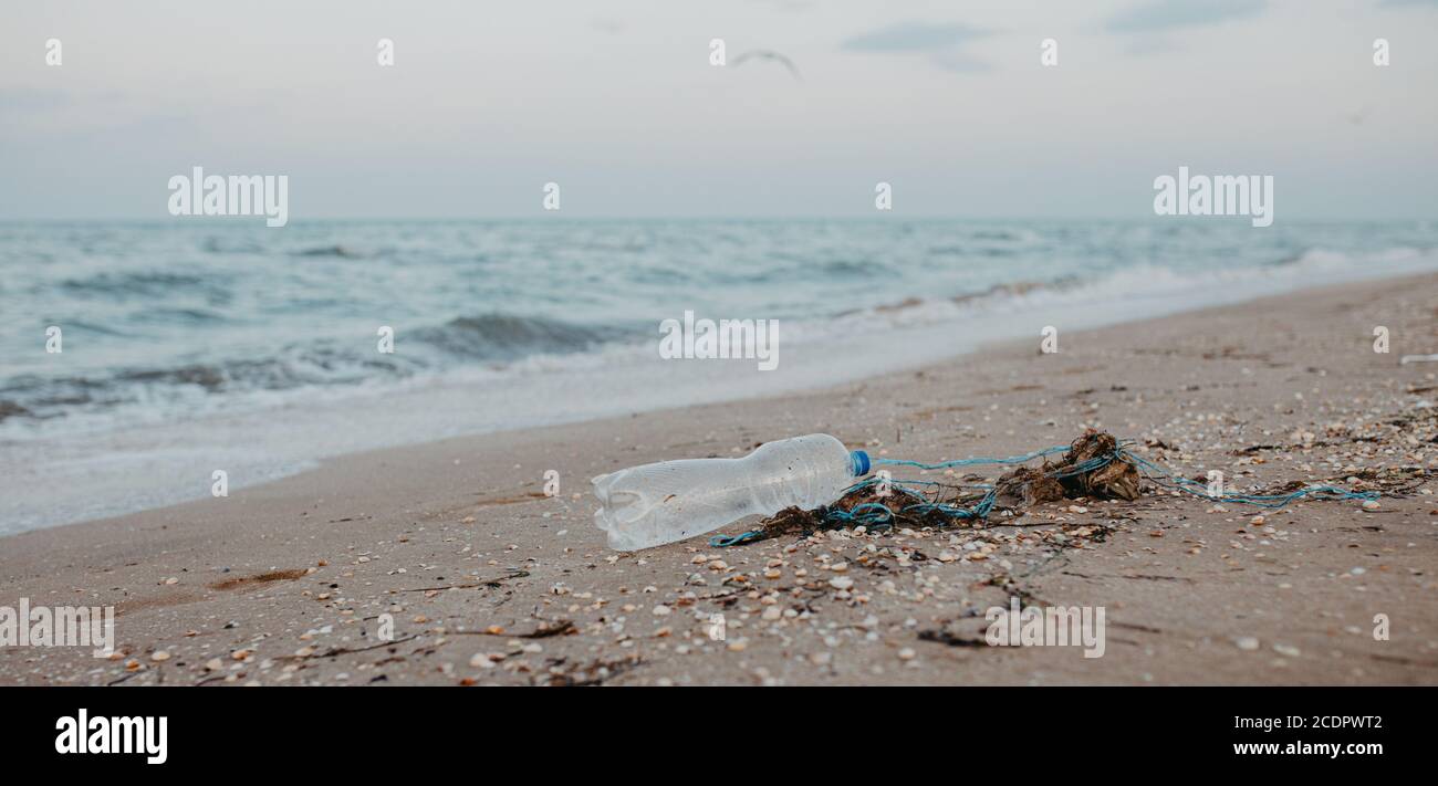 Discarded plastic pet bottle lying on the shoreline causing environmental plastic pollution. Garbage on the beach. Stock Photo