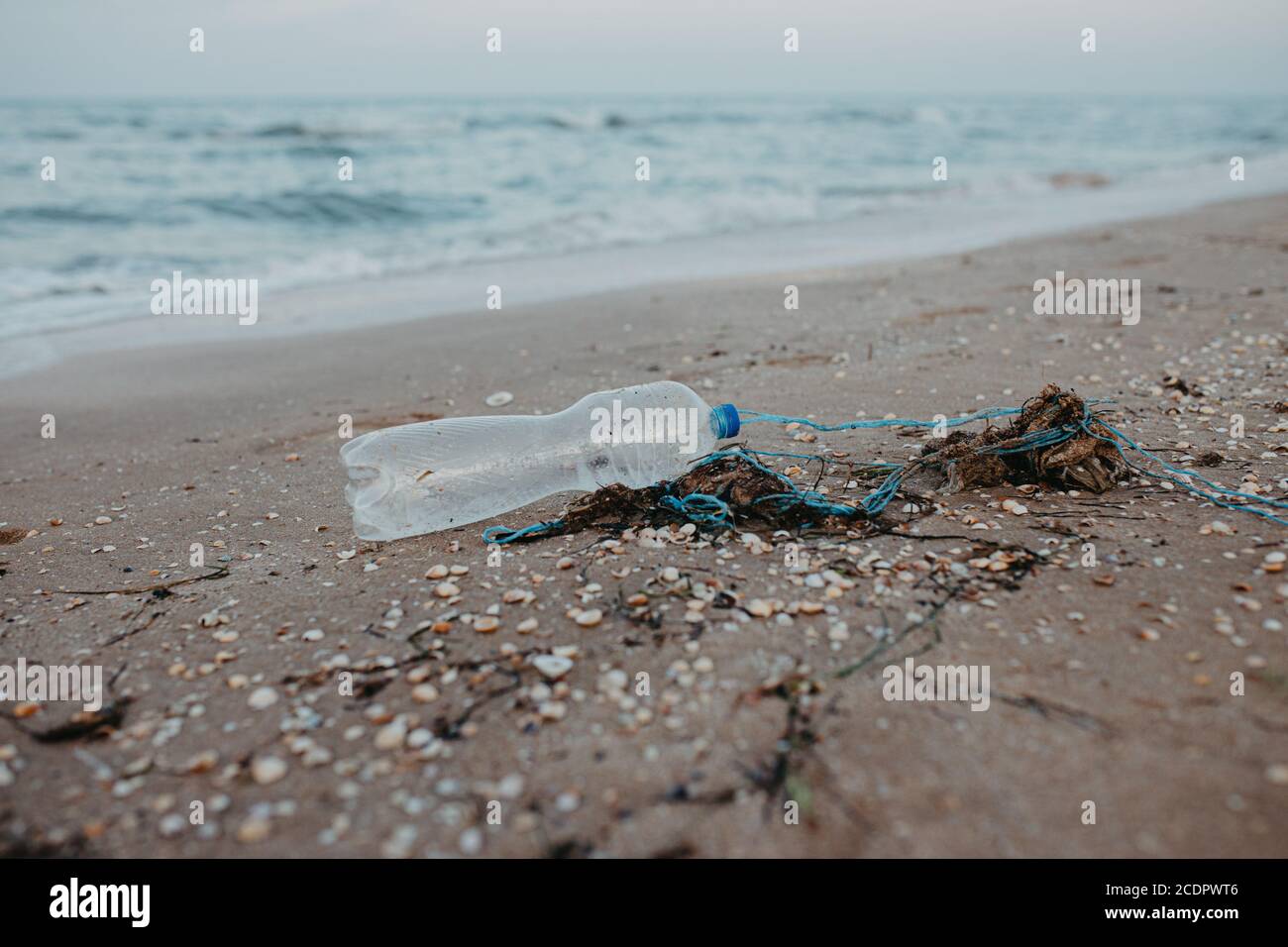 Discarded plastic pet bottle lying on the shoreline causing environmental plastic pollution. Garbage on the beach. Stock Photo
