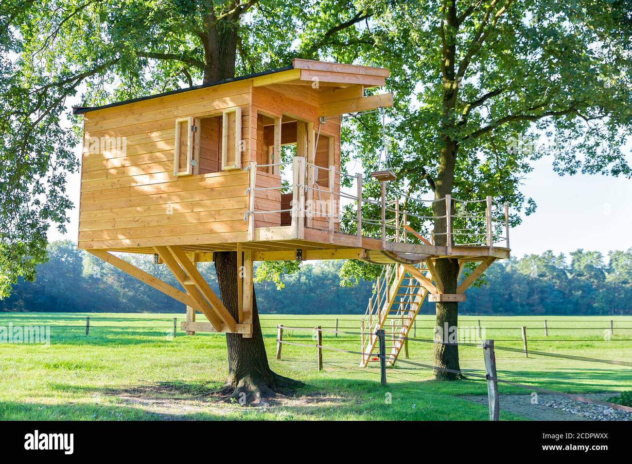 Wooden tree house in oak tree and meadow Stock Photo