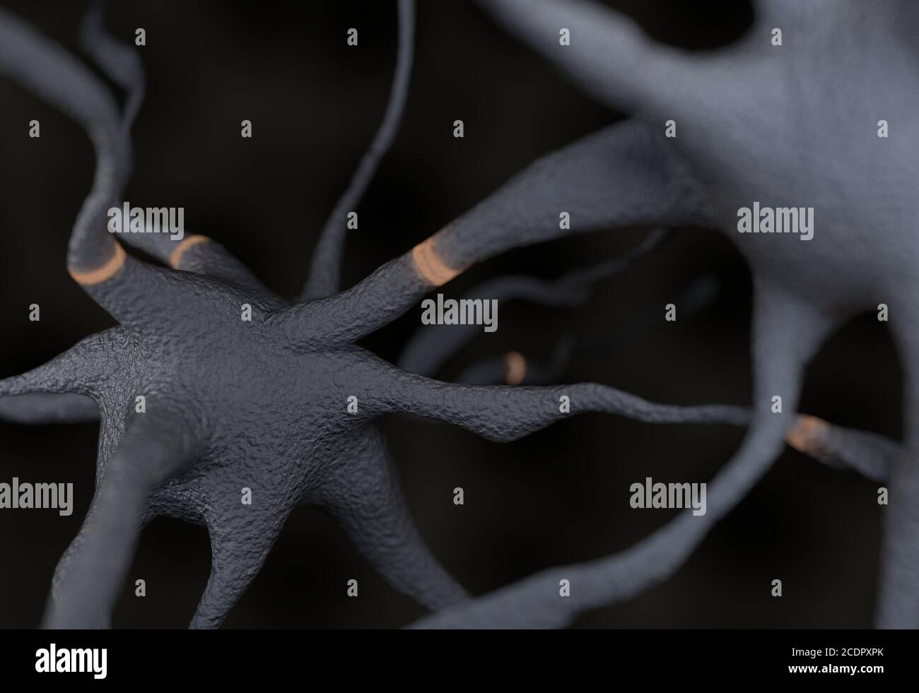 Two neurons with impulses 3d illustration Stock Photo
