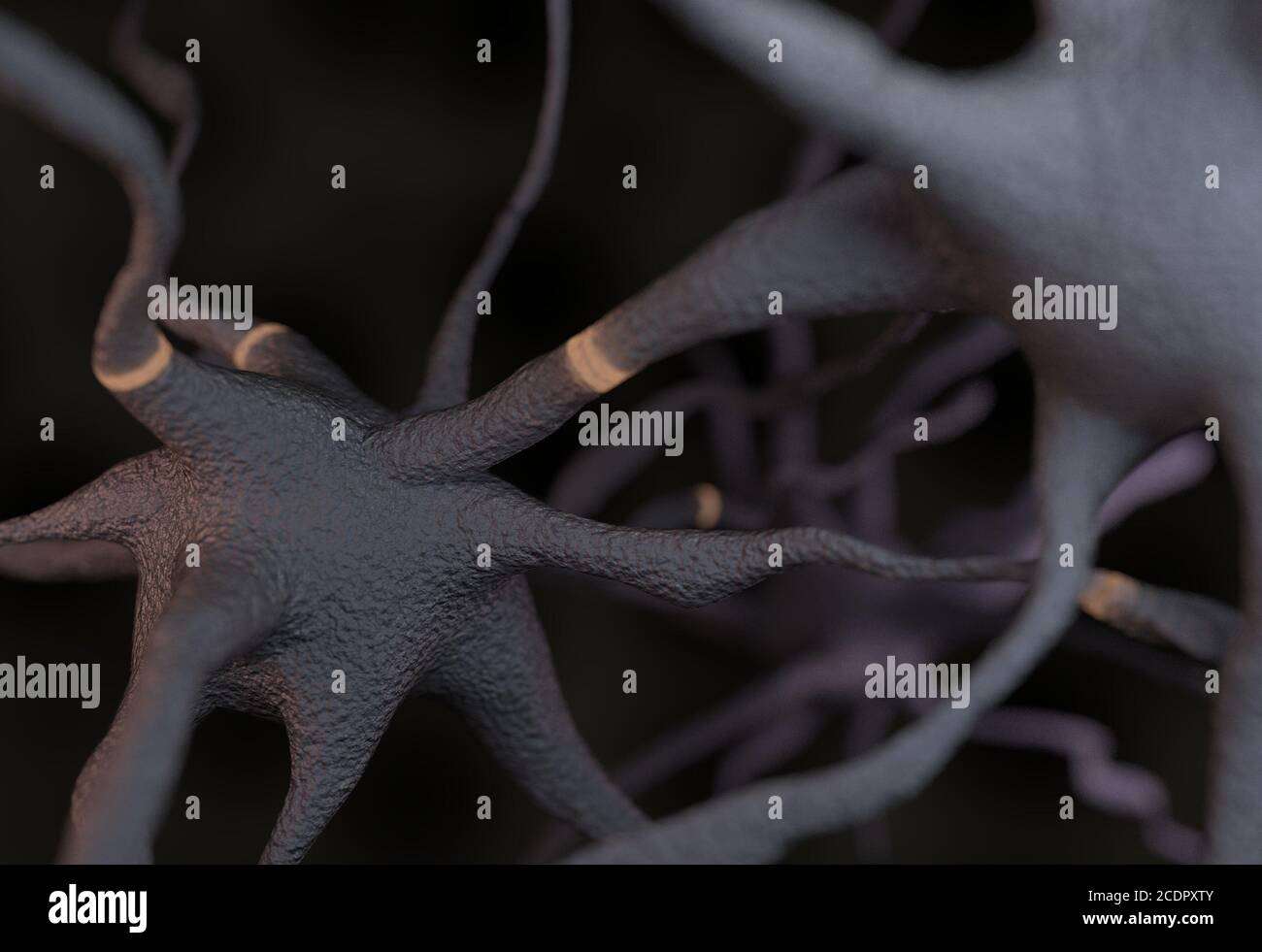 Two neurons with impulses 3d illustration Stock Photo