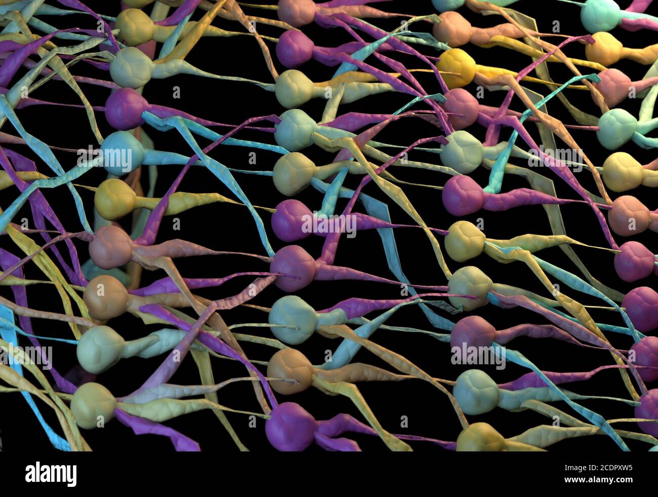 Color neuronal network. neuron net. 3D Illustration. Stock Photo