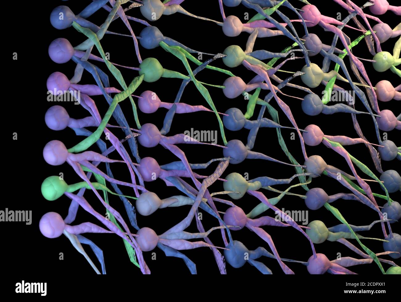 Colorfull neuronal network. neuron net. 3D Illustration. Stock Photo