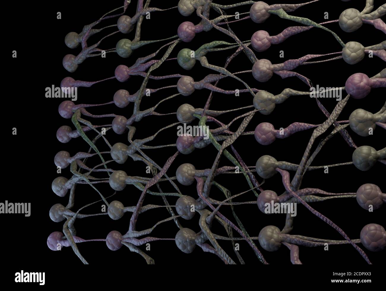 Neuronal Network. neuron net. 3D Illustration Stock Photo - Alamy