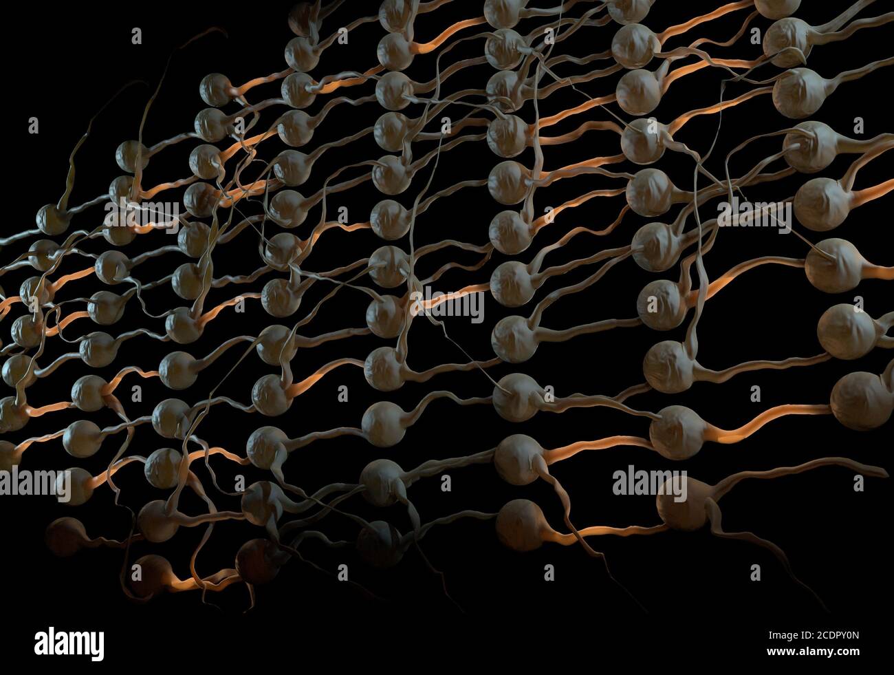 Artifical neural net. Neuron network with connection links. 3d illustration Stock Photo