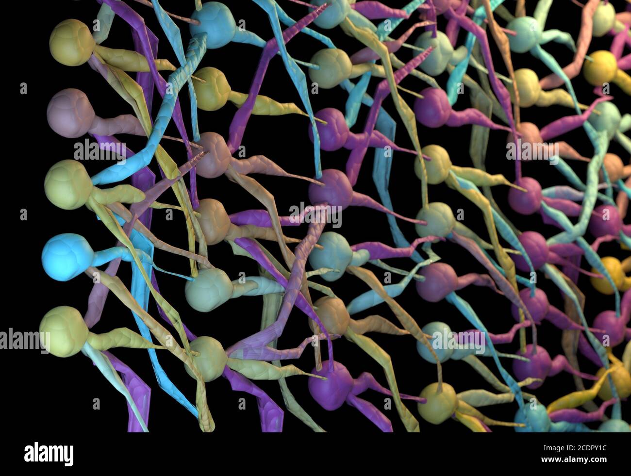 Color neuron network, neuronal net. 3D Illustration. Stock Photo
