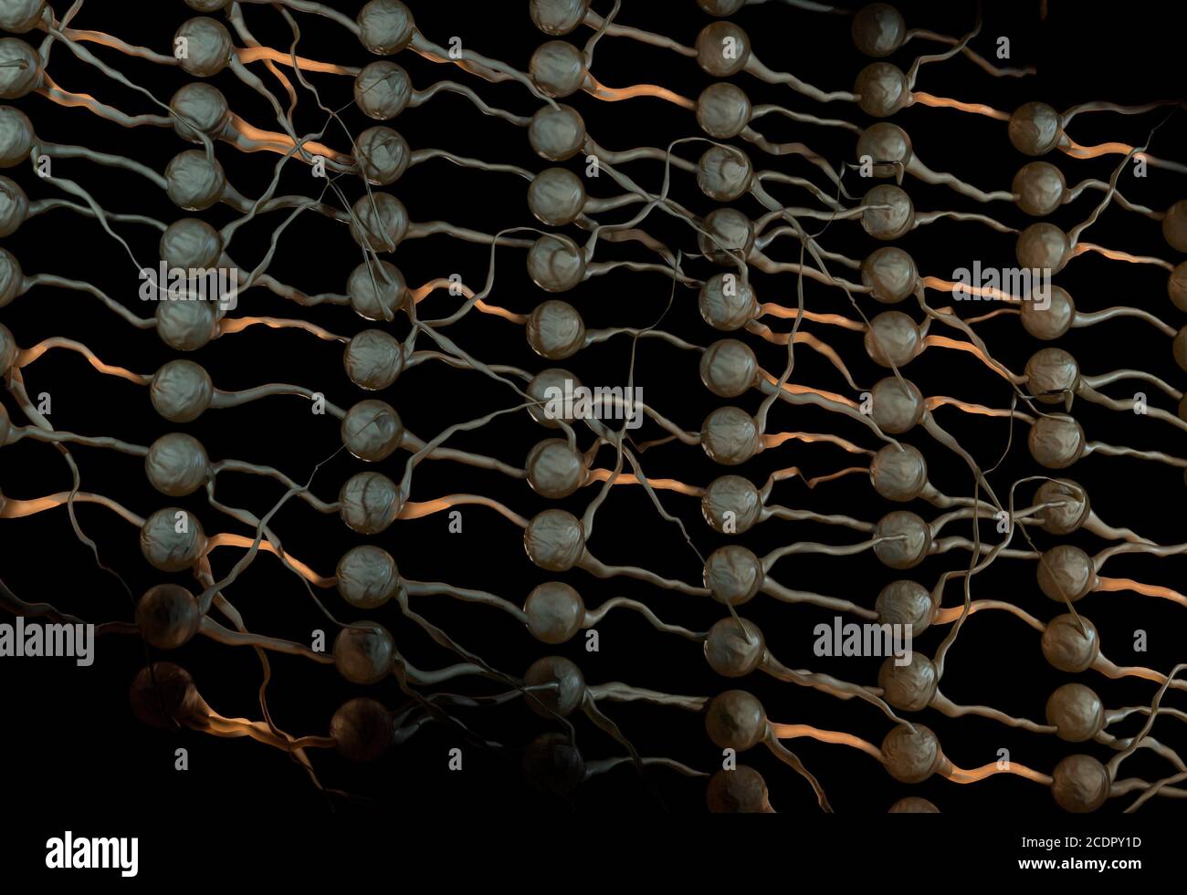 Artifical neural net. Neuron network with connection links. 3d illustration Stock Photo