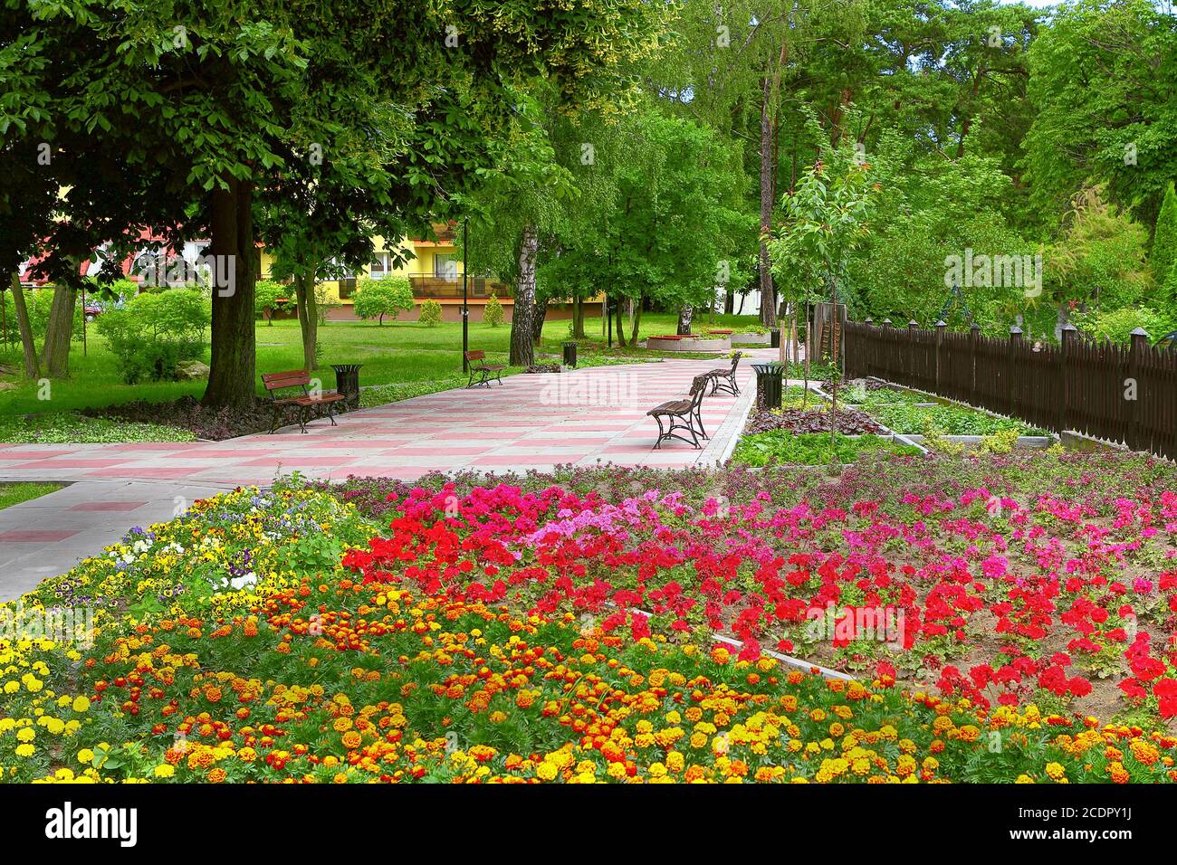 Park spring flowers hi-res stock photography and images - Alamy