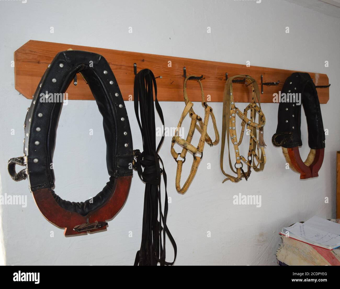 Elements of harness horses, hanging on a hanger Stock Photo