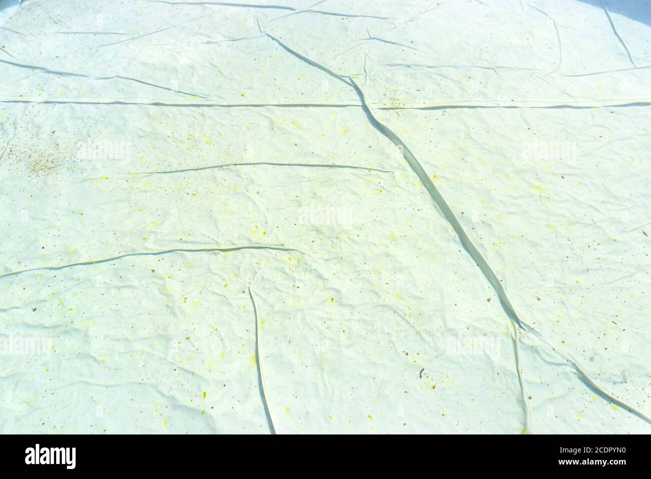 Mildew stains in an unclean domestic pool, dirty and blooming water unsuitable for bathing. Stock Photo